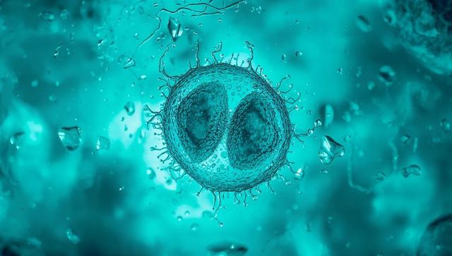 Dividing two-lobed cell with membrane spikes floating in teal microdroplet environment