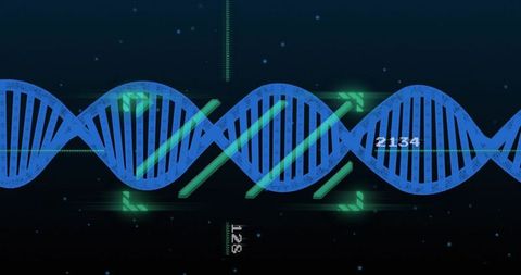 Blue DNA Helix with Neon Holographic UI Elements Visualizing Genomic Data Flow