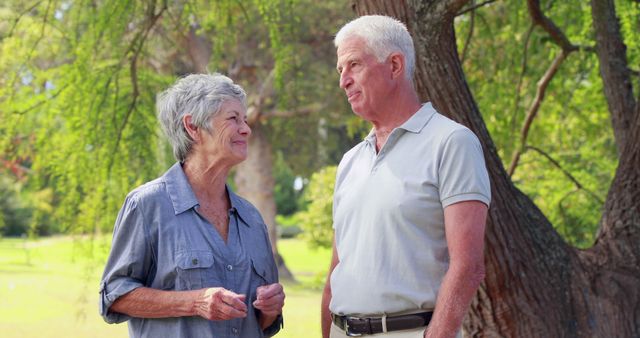 Senior Couple Laughing and Talking in Park Outdoors - Download Free Stock Images Pikwizard.com