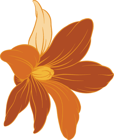 stylized orange flower transparent art vector illustration - Download Free Stock Videos Pikwizard.com