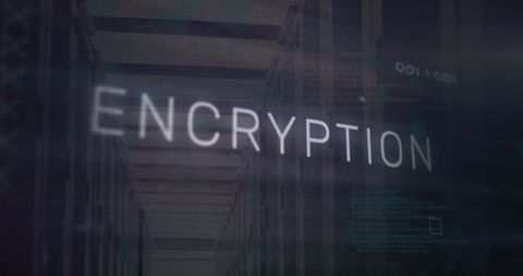 Digital Encryption and Data Processing in Server Facility - Download Free Stock Images Pikwizard.com