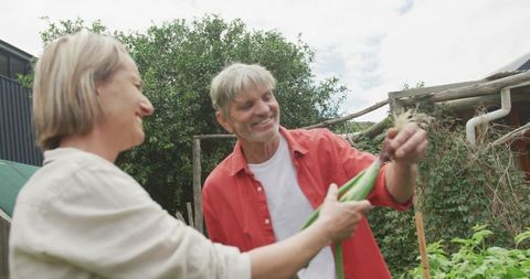 Senior Couple Joyfully Harvesting Fresh Vegetables in Garden