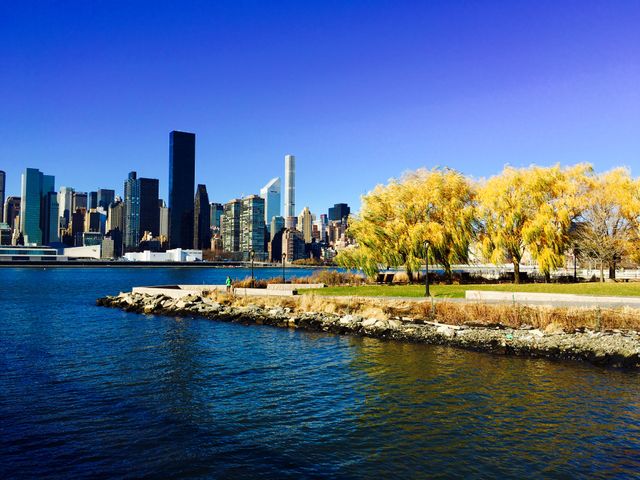 Skyline of Modern City by River Featuring Autumn Trees Against Clear Blue Sky - Download Free Stock Images Pikwizard.com