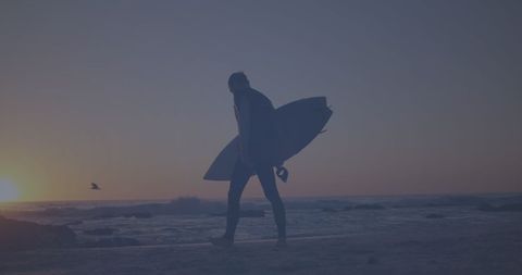 Surfer Walking along Beach at Sunset with Surfboard - Download Free Stock Images Pikwizard.com