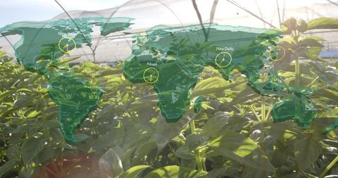 Innovative greenhouse horticulture with global connectivity