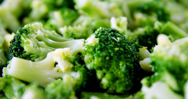 Fresh Steamed Broccoli Close-Up - Download Free Stock Images Pikwizard.com