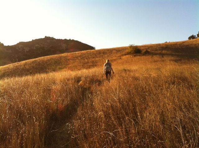Person Hiking Through Golden Grass on Sunlit Hillside - Download Free Stock Photos Pikwizard.com