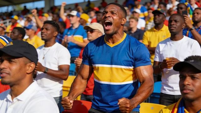 Muscular fan cheering passionately in blue and yellow jersey at crowded outdoor stadium