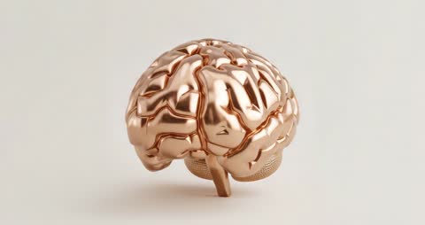 Rotating Metallic Brain Model Symbolizing Innovation and Neuroscience
