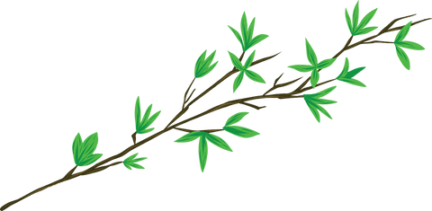 Transparent Digital Illustration of Twig with Green Leaves