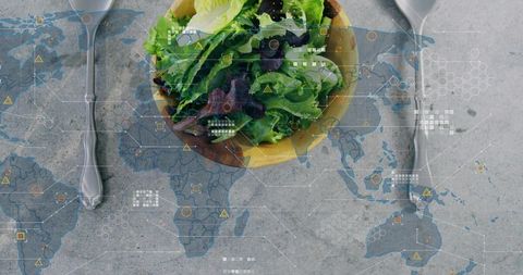 Bridging global food data with fresh mixed greens bowl and digital map overlay