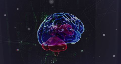 Digital Brain and Network in High-Tech Server Environment - Download Free Stock Images Pikwizard.com
