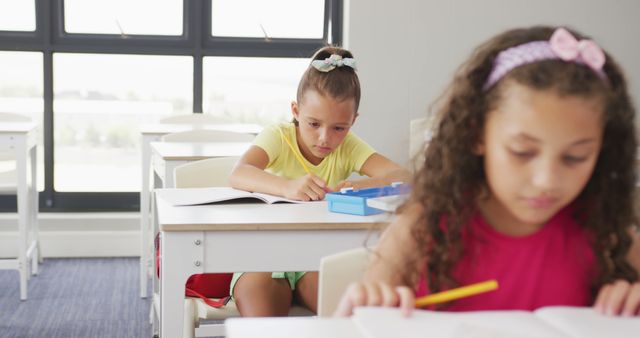 Children Concentrating on Schoolwork in Classroom with Natural Light - Download Free Stock Images Pikwizard.com