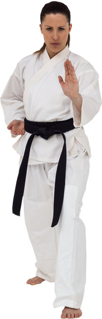 Transparent Karate Practitioner in Traditional Uniform - Download Free Stock Videos Pikwizard.com