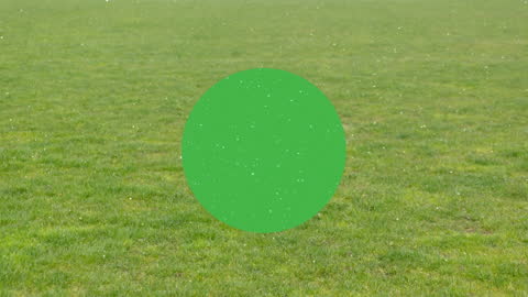 Snow Animation Over Green Circle on Vibrant Grass