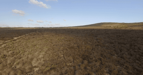 Transparent Sky Over Remote Wild Landscape - Download Free Stock Videos Pikwizard.com