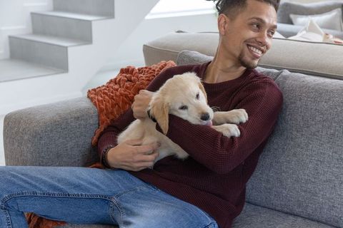 Man cuddling golden retriever puppy on sofa cozy modern living room pet companionship