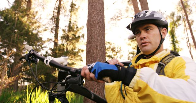 Focussed Mountain Biker Adjusting Glove in Forest - Download Free Stock Images Pikwizard.com