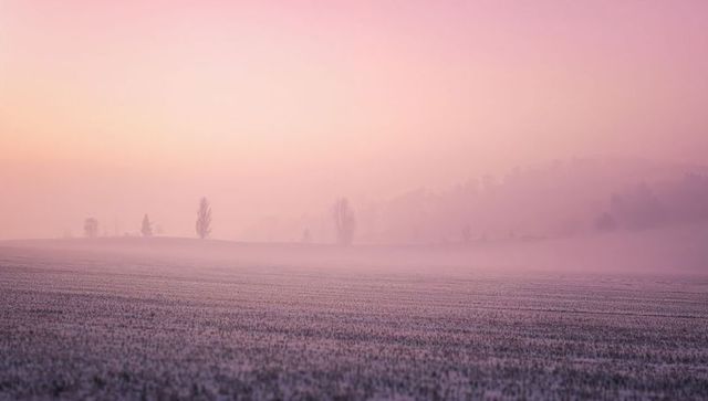 Pastel Dawn Glowing Over Frost-Dusted Farmland, Crop Rows Stretching Through Mist