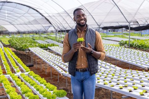 Smiling Farmer Examining Seedlings in Hydroponic Greenhouse