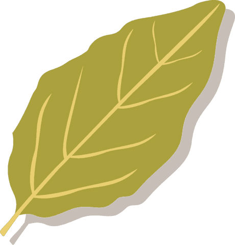 Olive Green Leaf with Yellow Veins on Transparent Background - Download Free Stock Videos Pikwizard.com