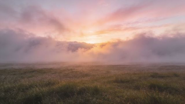 Dawn light piercing low fog over dewy grassland with glowing pastel sky