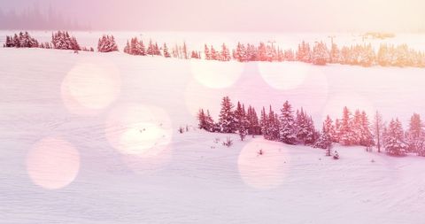 Serene Winter Landscape with Pink Light Spots - Download Free Stock Images Pikwizard.com