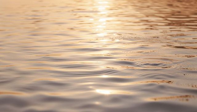 Golden sunrise reflecting on tranquil lake surface with gentle ripple and soft wavelets