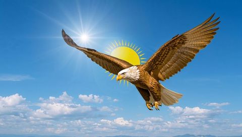 Soaring bald eagle spreading wings against sunburst and clear blue sky
