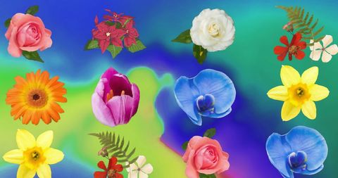 Vibrant Blossom Collage on Gradient Background