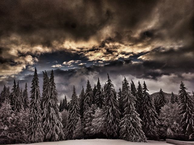 Scenic snowy forest with dark storm clouds and a dramatic sunset. Perfect for winter-themed projects, nature blogs, atmospheric landscapes, seasonal greetings, and environmental campaigns showcasing the beauty and power of nature.