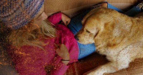 Woman Relaxing with Golden Retriever in Cozy Living Room