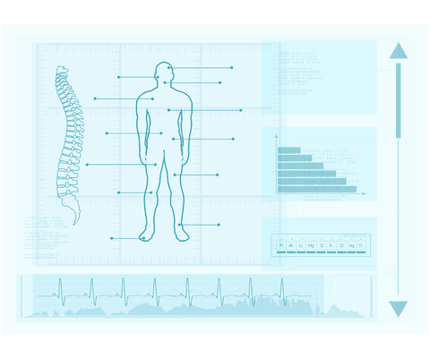 transparent medical interface of human body analysis - Download Free Stock Videos Pikwizard.com