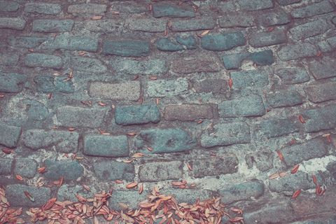 Vintage Cobblestone Street with Fallen Leaves