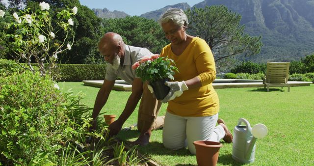 Senior couple enjoying gardening, planting flowers in lush green garden on a sunny day. Ideal for illustrating themes related to outdoor activities, senior lifestyle, gardening, nature, and teamwork.
