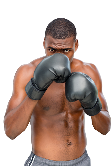 African American Boxer with Boxing Gloves Looking on Transparent Background - Download Free Stock Videos Pikwizard.com