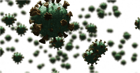 transparent background with multiple covid-19 cells in motion - Download Free Stock Videos Pikwizard.com