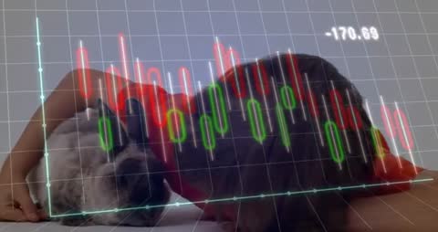 Child Petting Rabbit with Candlestick Financial Chart Overlay