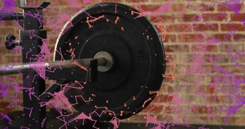 Barbell Cast Iron Weight Plate with Pink Purple Network Overlay and Brick Wall Backdrop