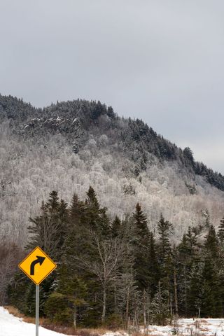 Wintery mountain forest with road sign