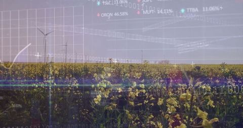 Agricultural Landscape with Wind Turbines and Digital Data Overlay
