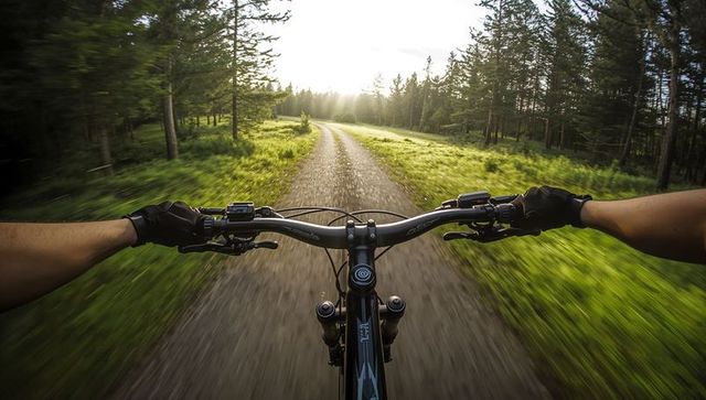 Pov mountain biking on sunlit forest trail with gloved hands, motion blur, bike computer