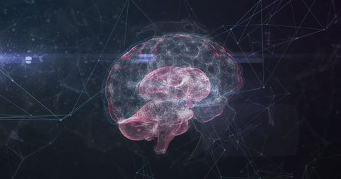 Digital Brain with Network Links on Dark Background - Download Free Stock Images Pikwizard.com