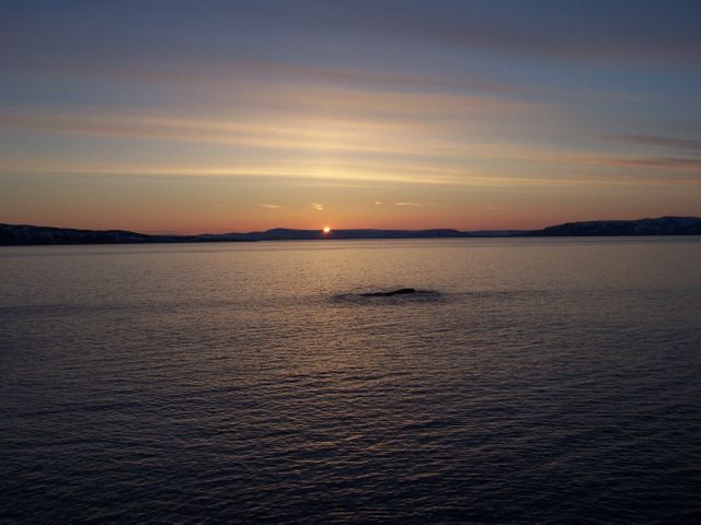 View of Sea at Sunset - Download Free Stock Photos Pikwizard.com