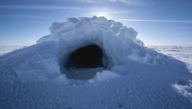 Sunlit ice dome shelter with dark cavern on polar sea-ice plain, arctic landscape
