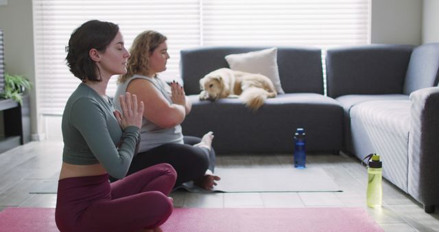 Women Practicing Yoga at Home with Dog Resting on Couch - Download Free Stock Images Pikwizard.com