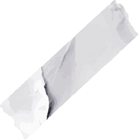 Minimalist torn paper strip on transparent background with copy space