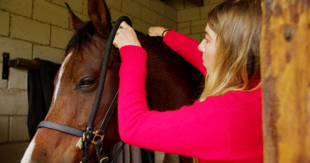 Woman grooming horse in stable after riding session - Download Free Stock Images Pikwizard.com
