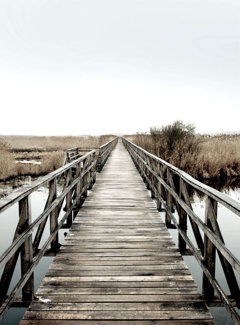 This image features a long wooden boardwalk extending over a marshy wetland area under a cloudy sky. The perspective draws the eye forward, creating a sense of depth and an invitation to explore. The scene exudes calm and tranquility, emphasizing the serene and untouched natural surroundings. An ideal image for promoting outdoor tourism, natural parks, environmental awareness campaigns or as a tranquil decorative element in offices or homes.