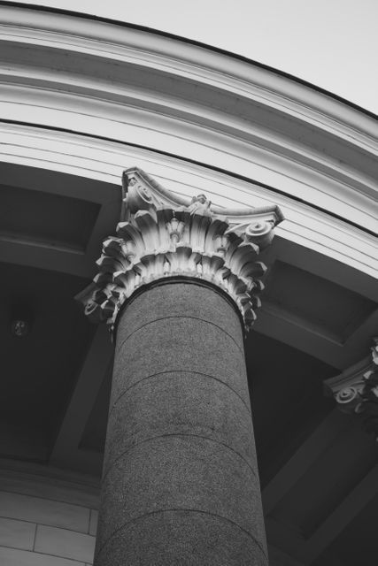 Black and white close-up vertical shot of an ornate architectural column, featuring intricate classical design. Ideal for use in architectural presentations, historical study materials, and artistic wall decor focusing on classical building elements.